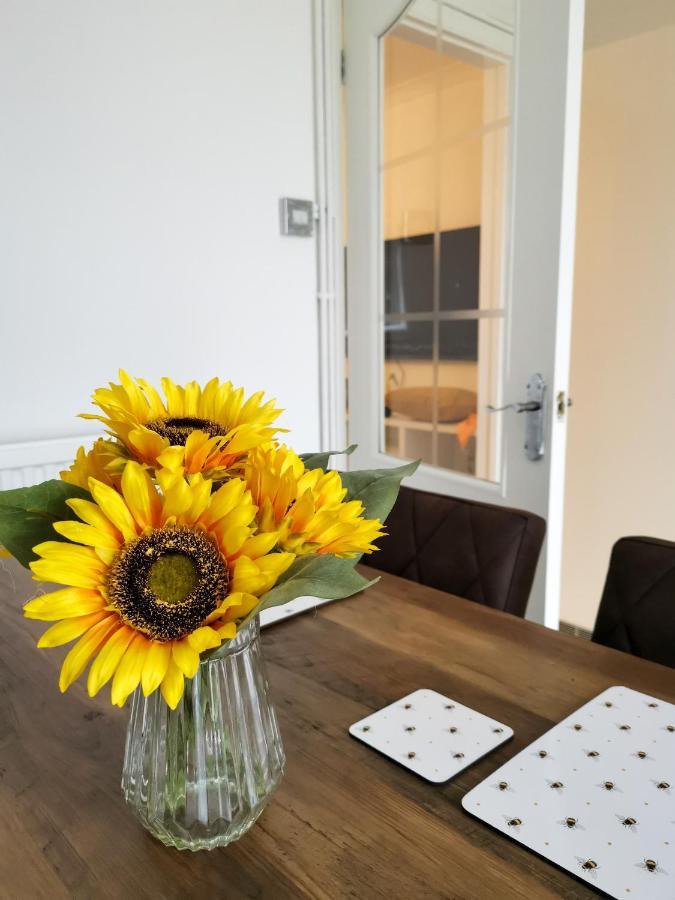 Bee At Home Cefn-coed-y-cymmer 외부 사진